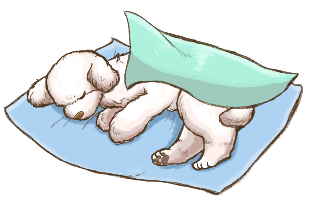 初めてのペット葬儀