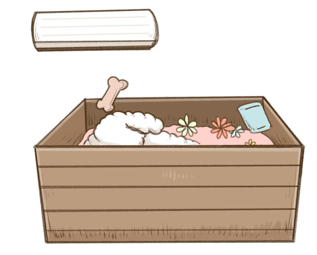 初めてのペット葬儀