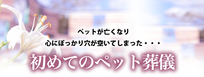 初めてのペット葬儀